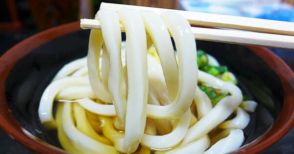 Udon Noodle