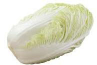 Napa Cabbage